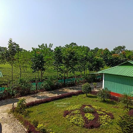 Grasshopper Jungle Queen Resort Chalsa Exterior photo
