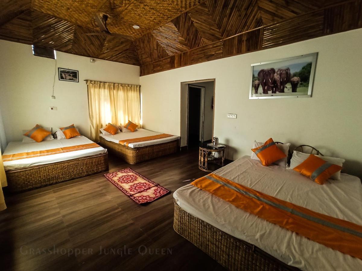 Grasshopper Jungle Queen Resort Chalsa Exterior photo