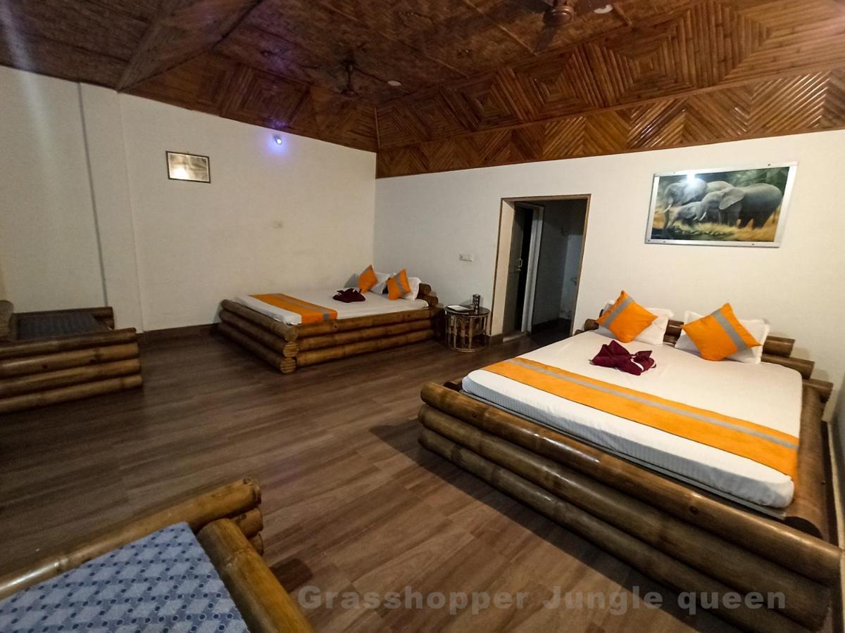 Grasshopper Jungle Queen Resort Chalsa Exterior photo