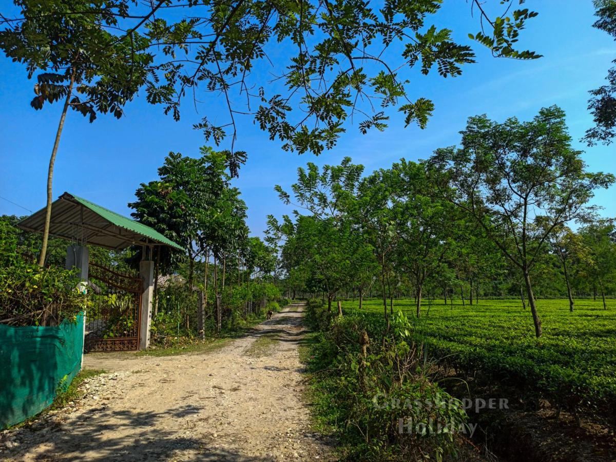 Grasshopper Jungle Queen Resort Chalsa Exterior photo
