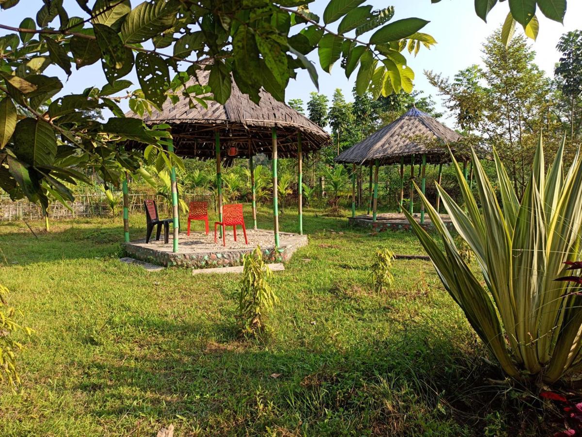 Grasshopper Jungle Queen Resort Chalsa Exterior photo