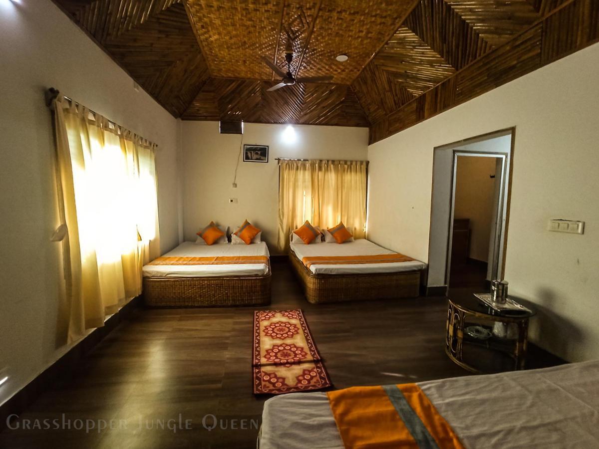 Grasshopper Jungle Queen Resort Chalsa Exterior photo