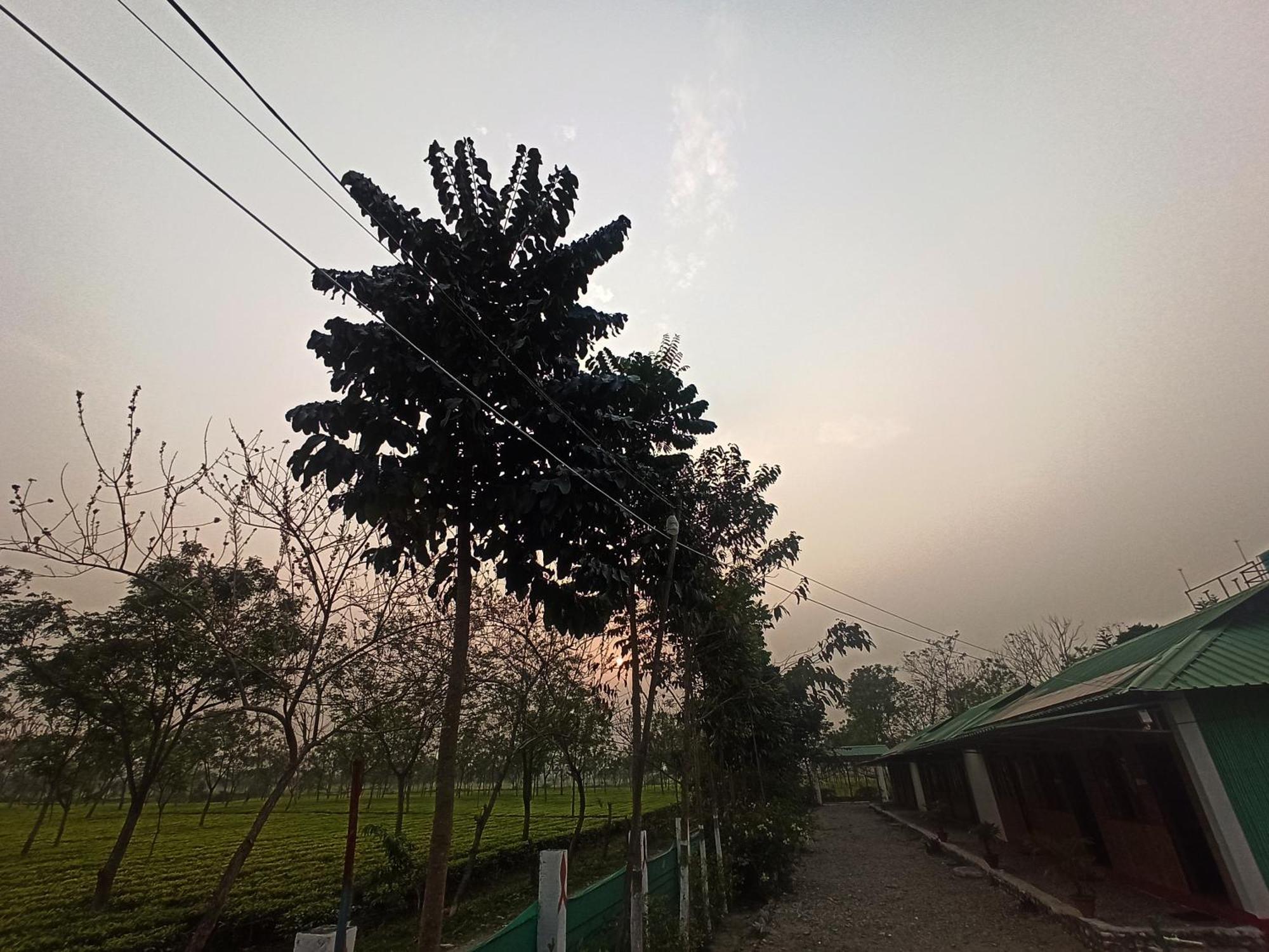Grasshopper Jungle Queen Resort Chalsa Exterior photo