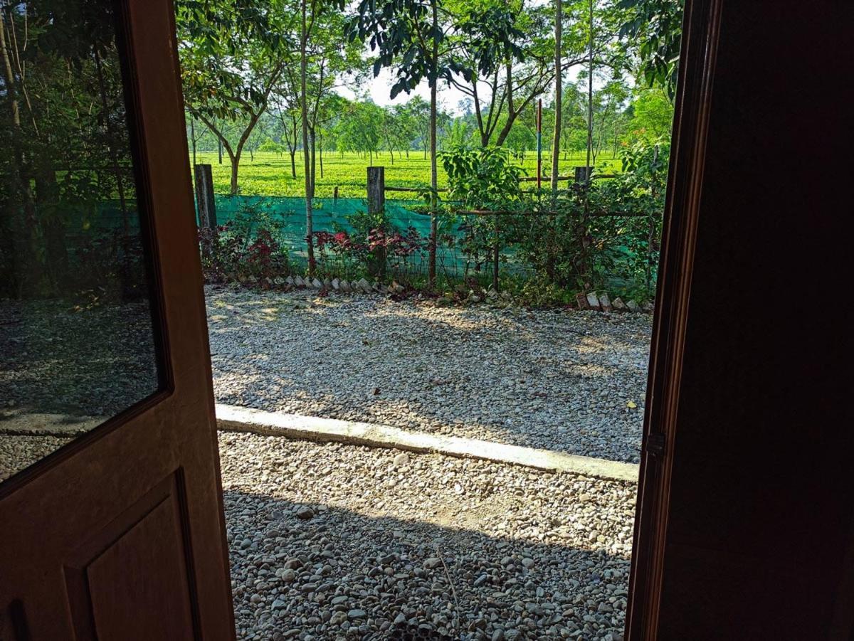 Grasshopper Jungle Queen Resort Chalsa Exterior photo