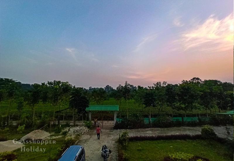 Grasshopper Jungle Queen Resort Chalsa Exterior photo