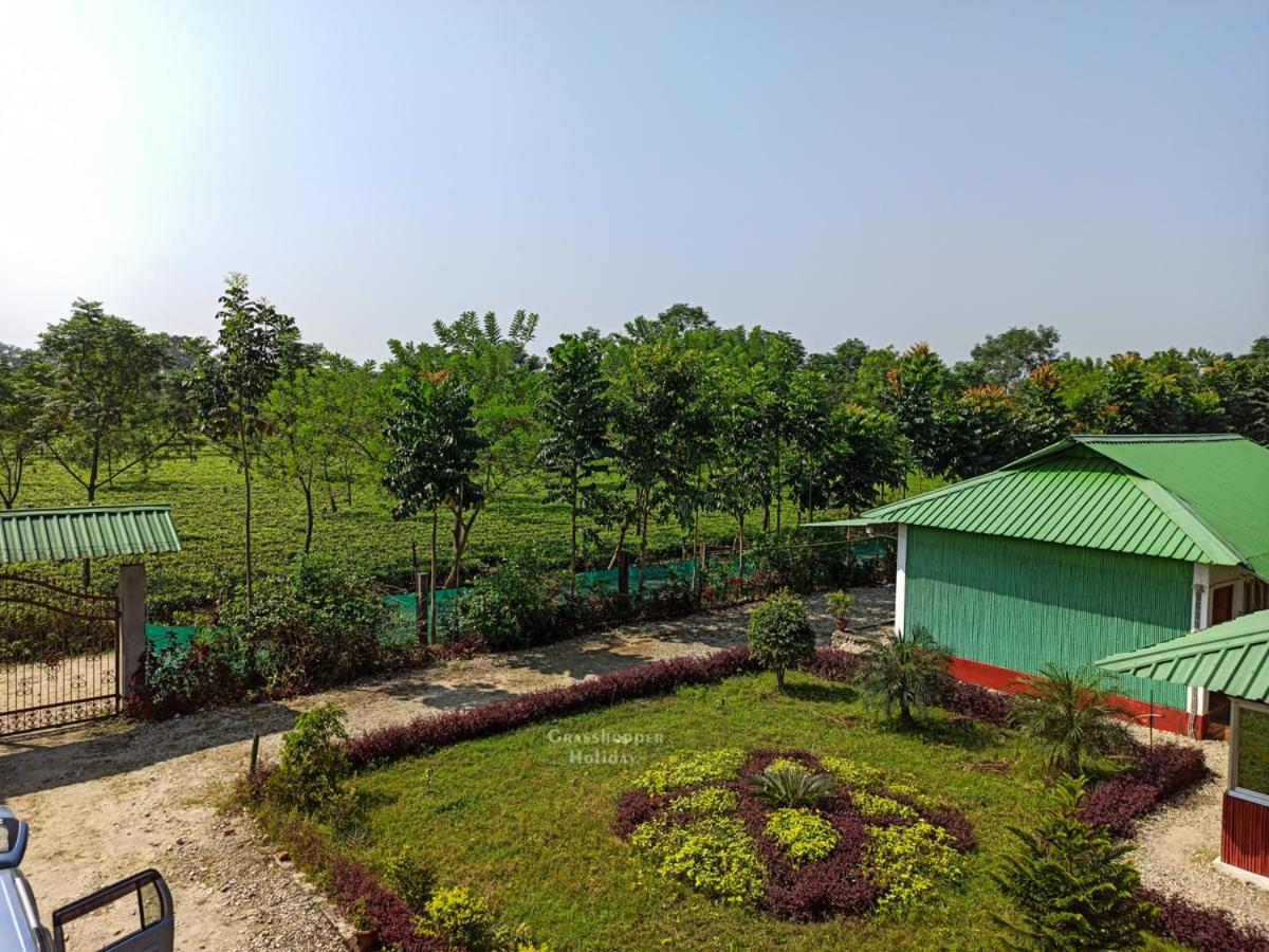 Grasshopper Jungle Queen Resort Chalsa Exterior photo