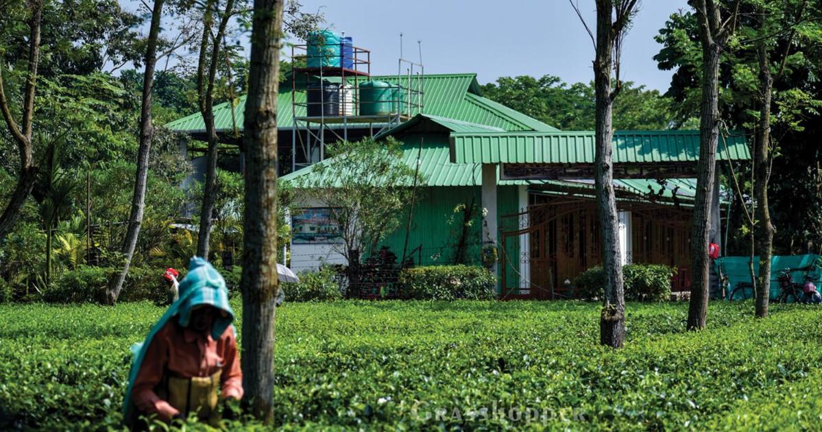 Grasshopper Jungle Queen Resort Chalsa Exterior photo